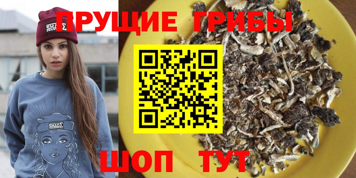 Нягань  Псилоцибиновые грибы ЛСД  Вход с VPN 