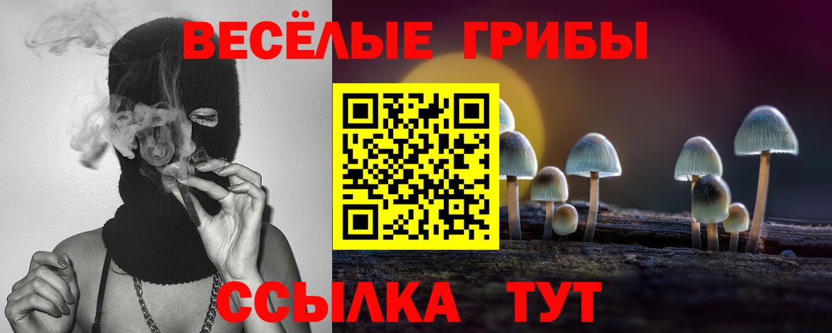 Псилоцибиновые грибы Cubensis Нягань